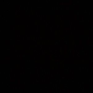 Meet your Posher, Jiya